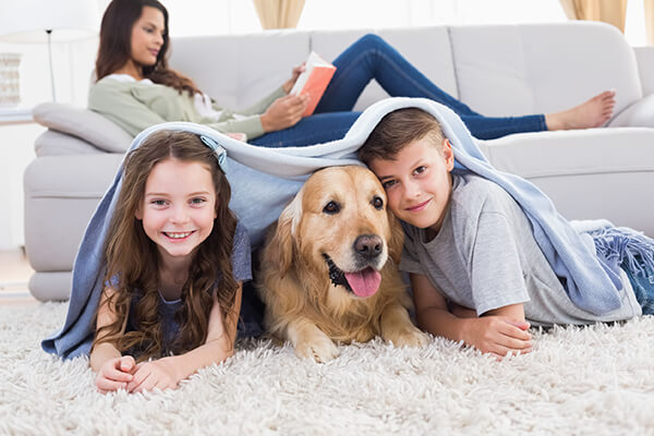 Young girl, boy, and golden retriever under a blanket on a fuzzy rug in front of a couch.